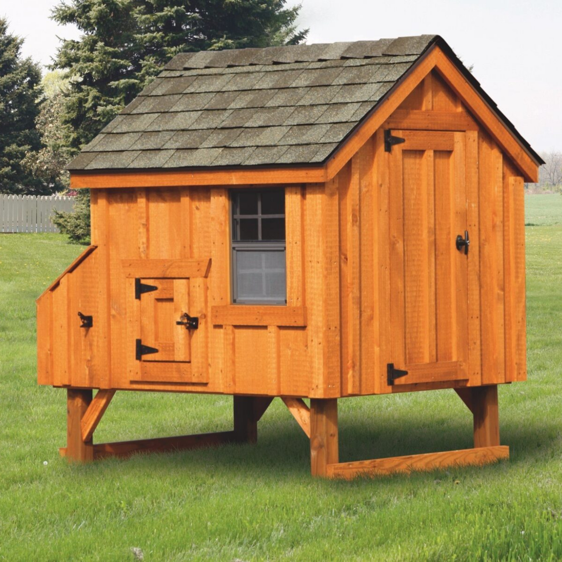 Custom Amish-Built 4'x4' A-Frame Chicken Coop