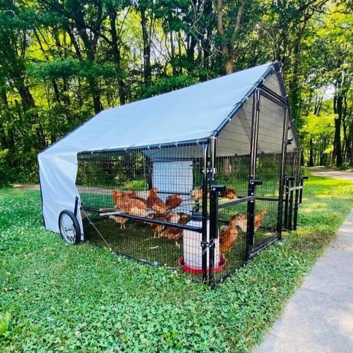 Porta-Coop 6'x8' Heritage Coop (20 chickens) - My Pet Chicken