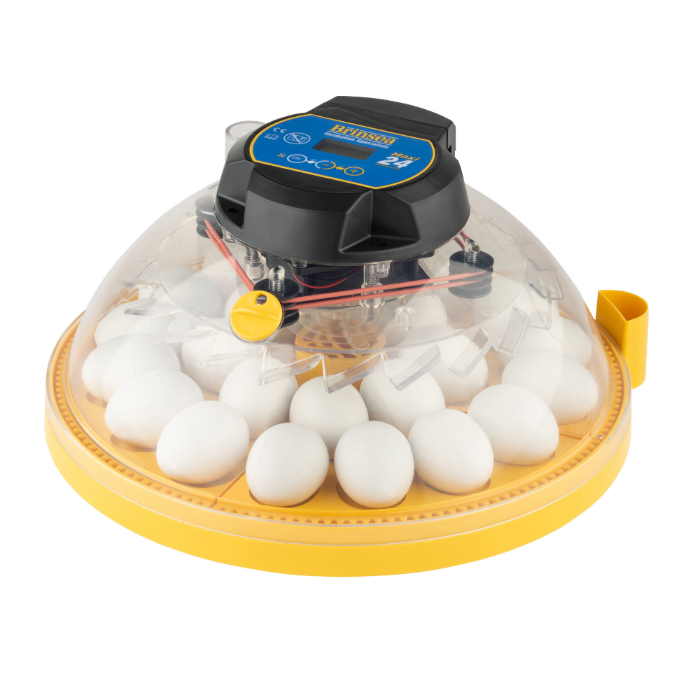 Maxi 24 Advance Incubator (24 eggs)