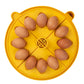 Maxi 24 Advance Incubator (24 eggs)