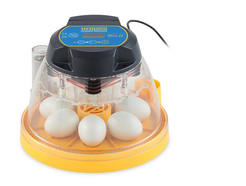 Mini II Advance Incubator (7 Eggs)