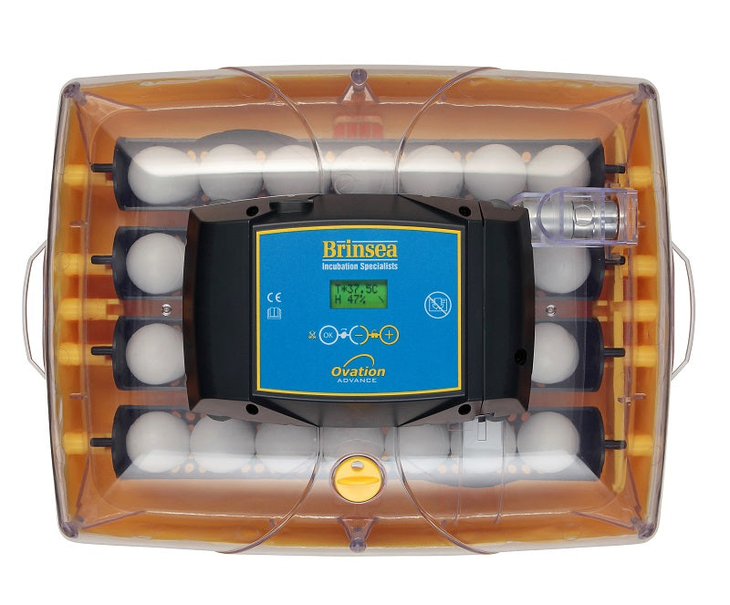Ovation 28 Advance Digital Incubator (28 Eggs)