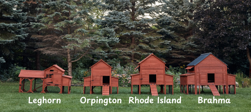 Leghorn Cottage Chicken Coop + Run (3-4 chickens)