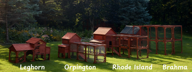 Leghorn Cottage Chicken Coop + Run (3-4 chickens)