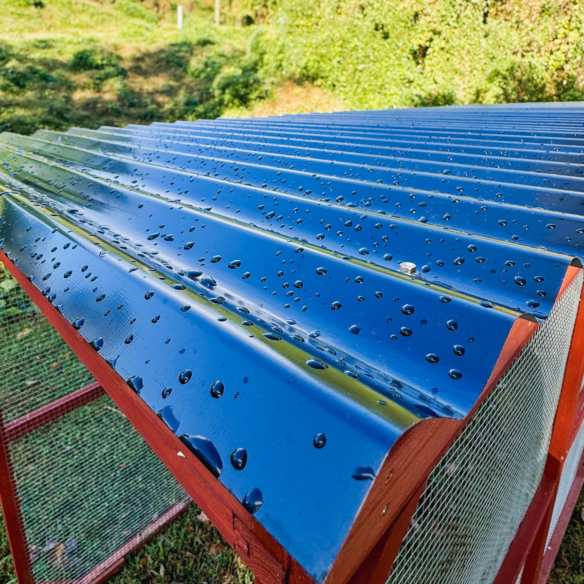 Metal Roof for Run Extension