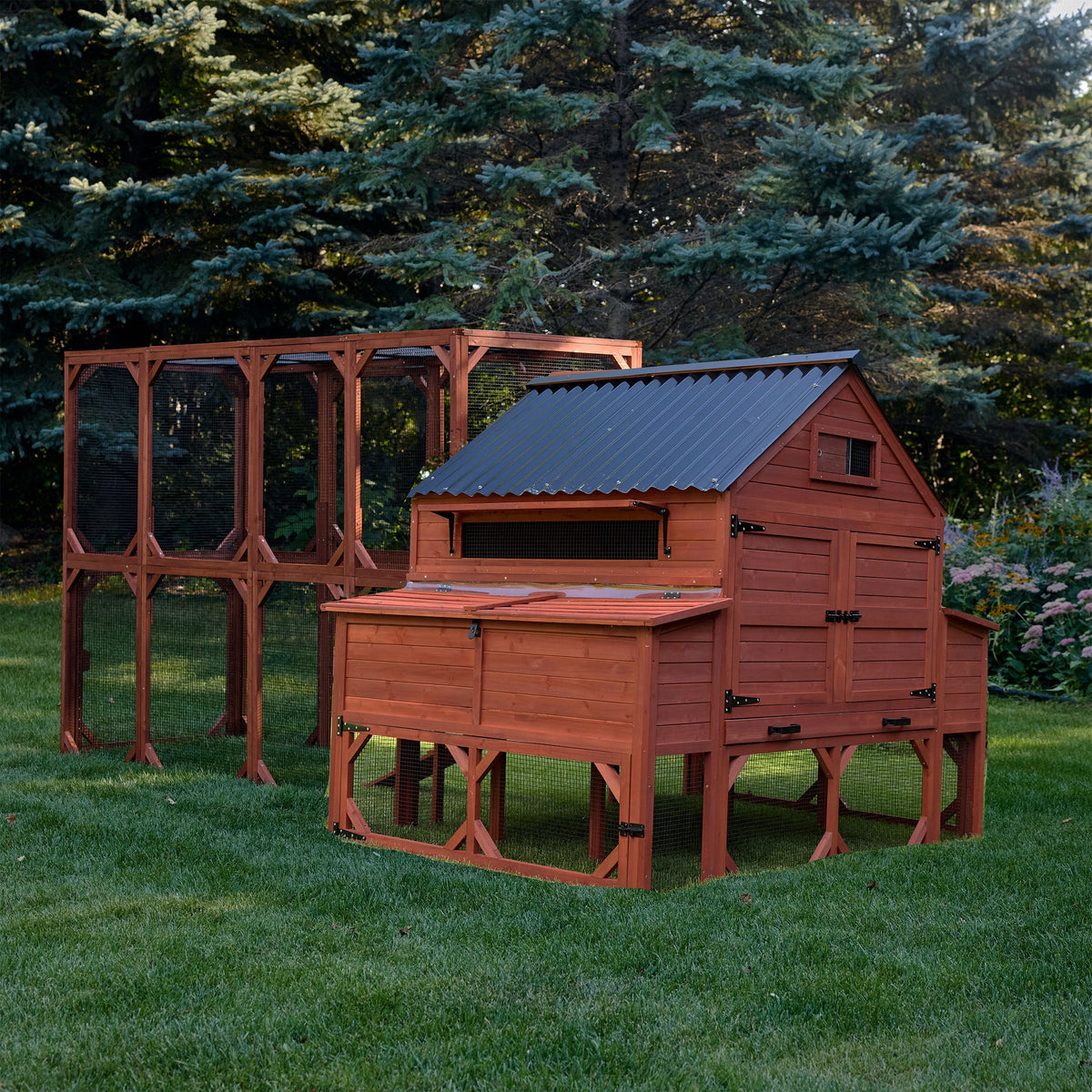 Brahma Chicken Coop + Optional Run (15-18 chickens)