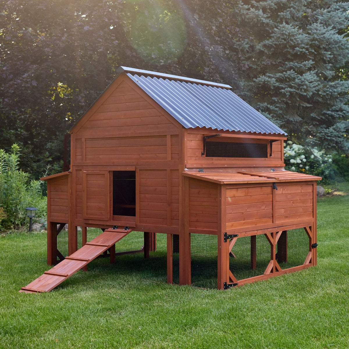 Brahma Chicken Coop + Optional Run (15-18 chickens)