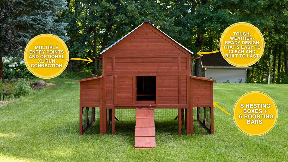 Brahma Chicken Coop + Optional Run (15-18 chickens)
