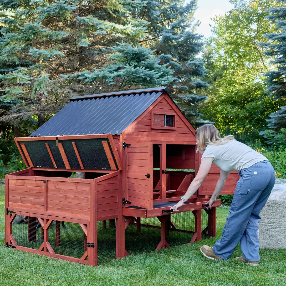 Brahma Chicken Coop + Optional Run (15-18 chickens)
