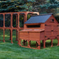 Brahma Chicken Coop + Optional Run (15-18 chickens)