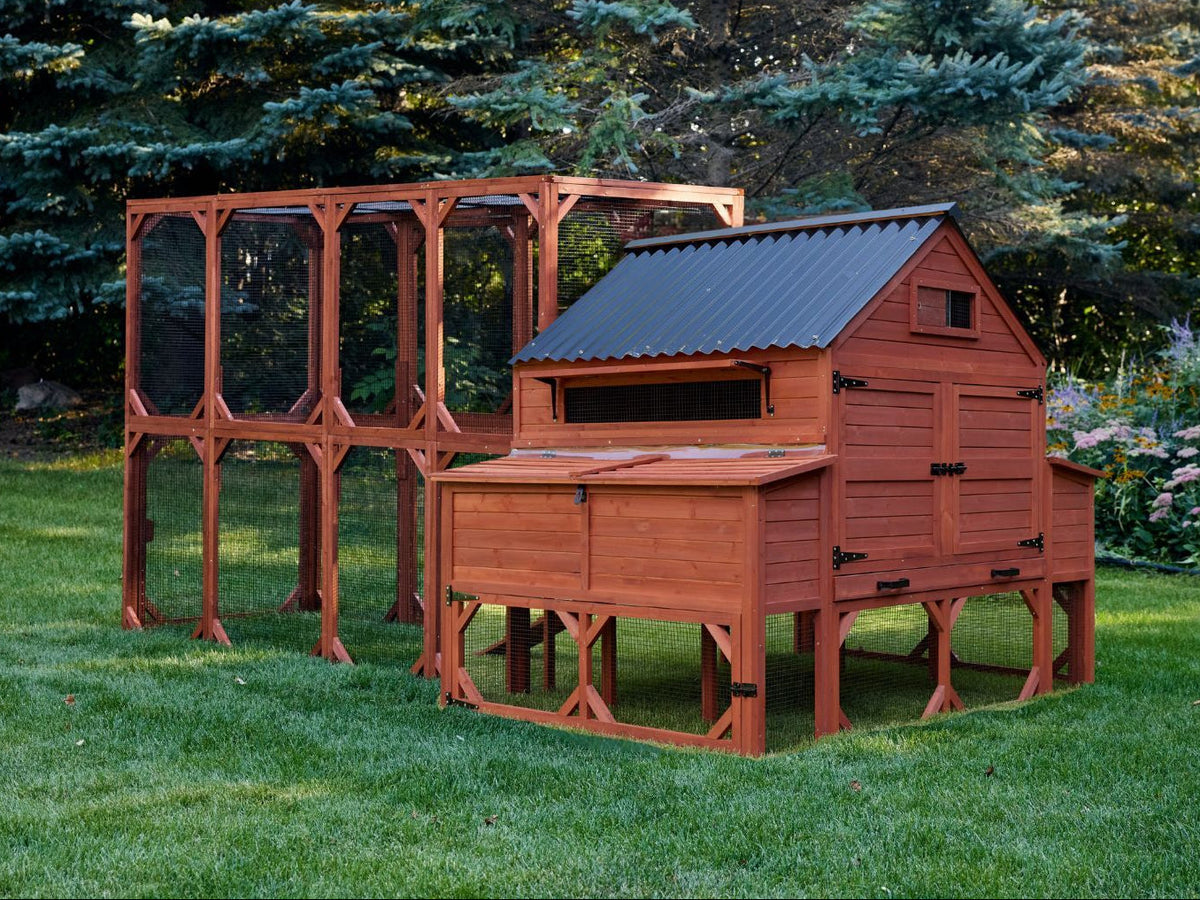 Brahma Chicken Coop + Optional Run (15-18 chickens)