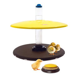 Cozy Brooder Habitat Plus