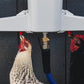 The Chicken Fountain™ Gen 2