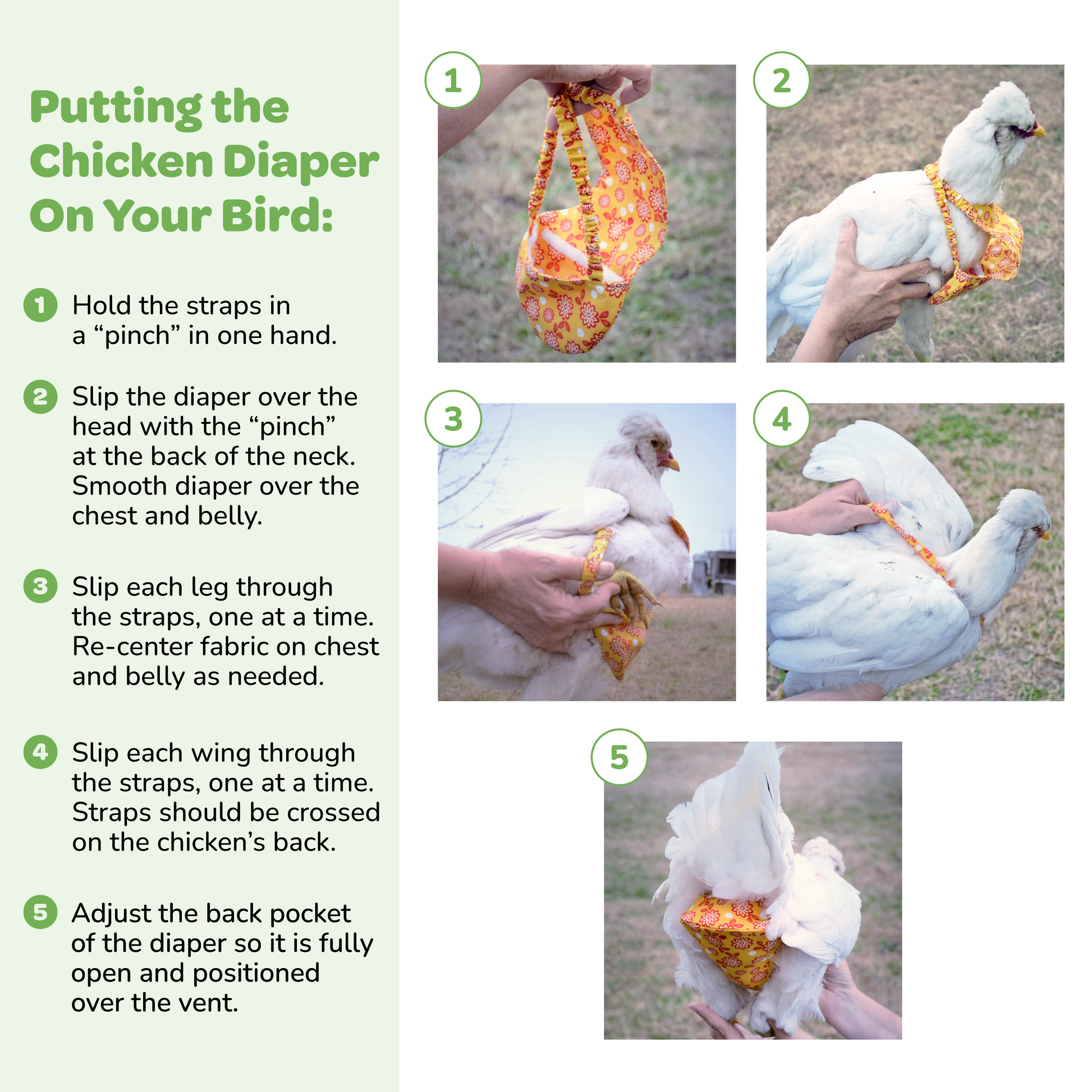 These Chicken Diaper Instructions will help you easily dress your chicken. 