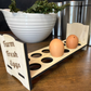 Countertop Chicken Egg Holder for Farm Fresh Eggs