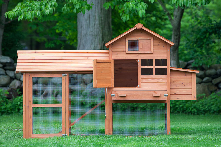 The Clubhouse Chicken Coop with Run includes a wire mesh floor for the run to keep rodents and burrowing predators out.