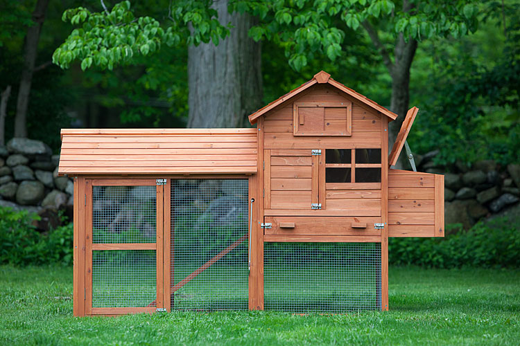 This chicken coop is designed for those of you whose flocks need extra ventilation in summer.