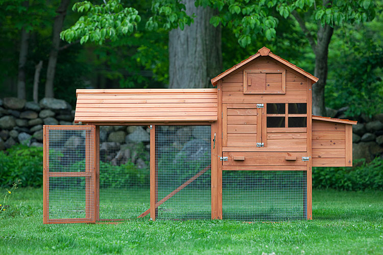 We love the Clubhouse Chicken Coop for first-timers because it offers an inexpensive entree into the hobby