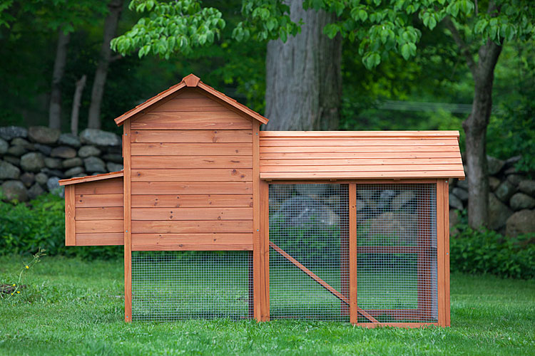 Back view of the Clubhouse Chicken Coop with attached Run 