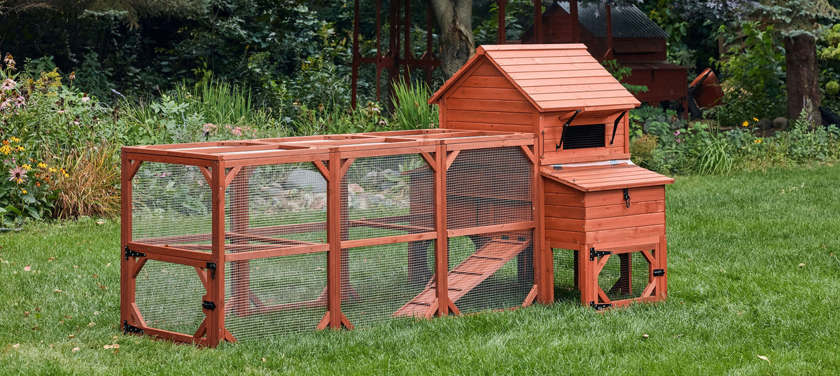 Orpington Lodge Chicken Coop + Optional Run (4-6 chickens)