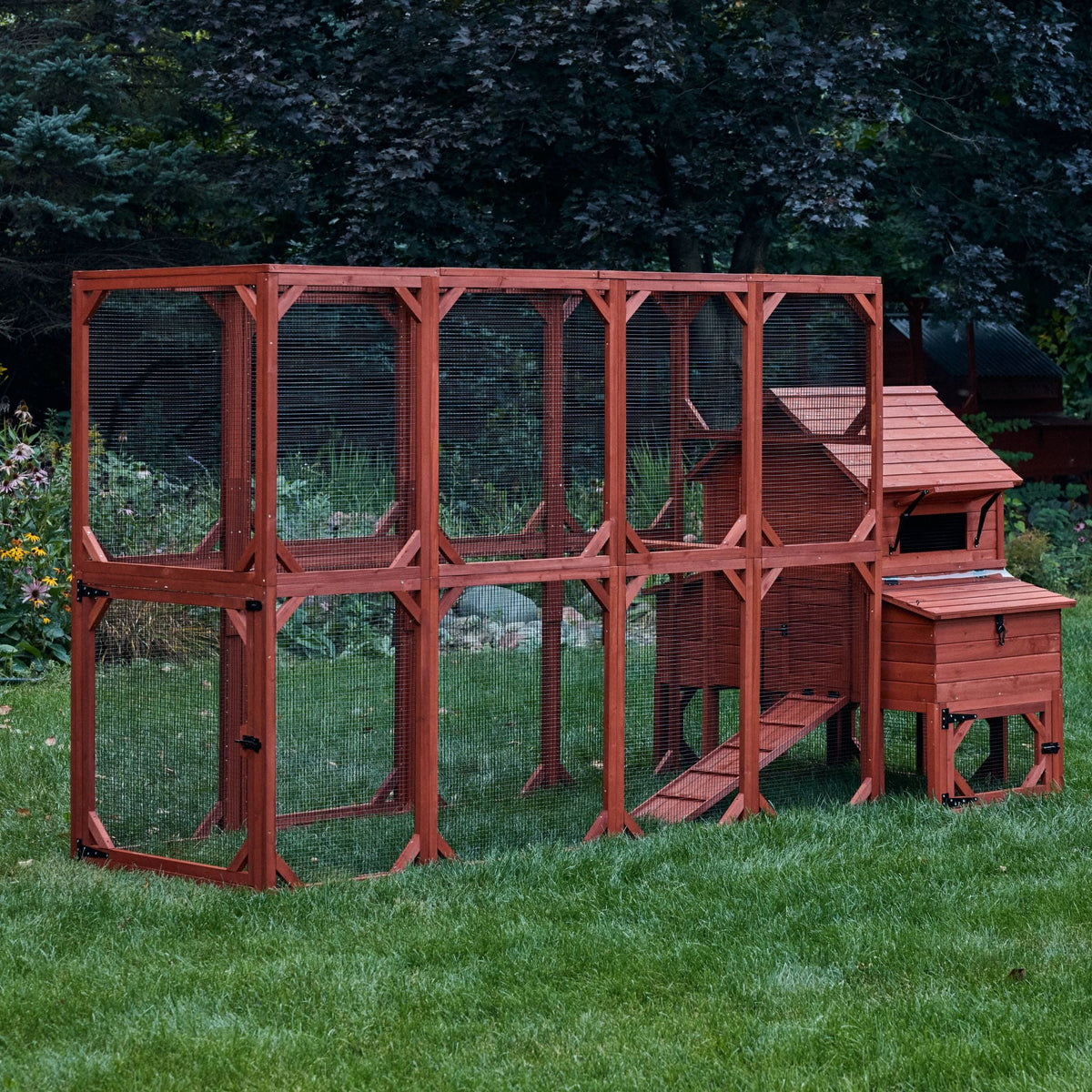 Orpington Lodge Chicken Coop + Optional Run (4-6 chickens)