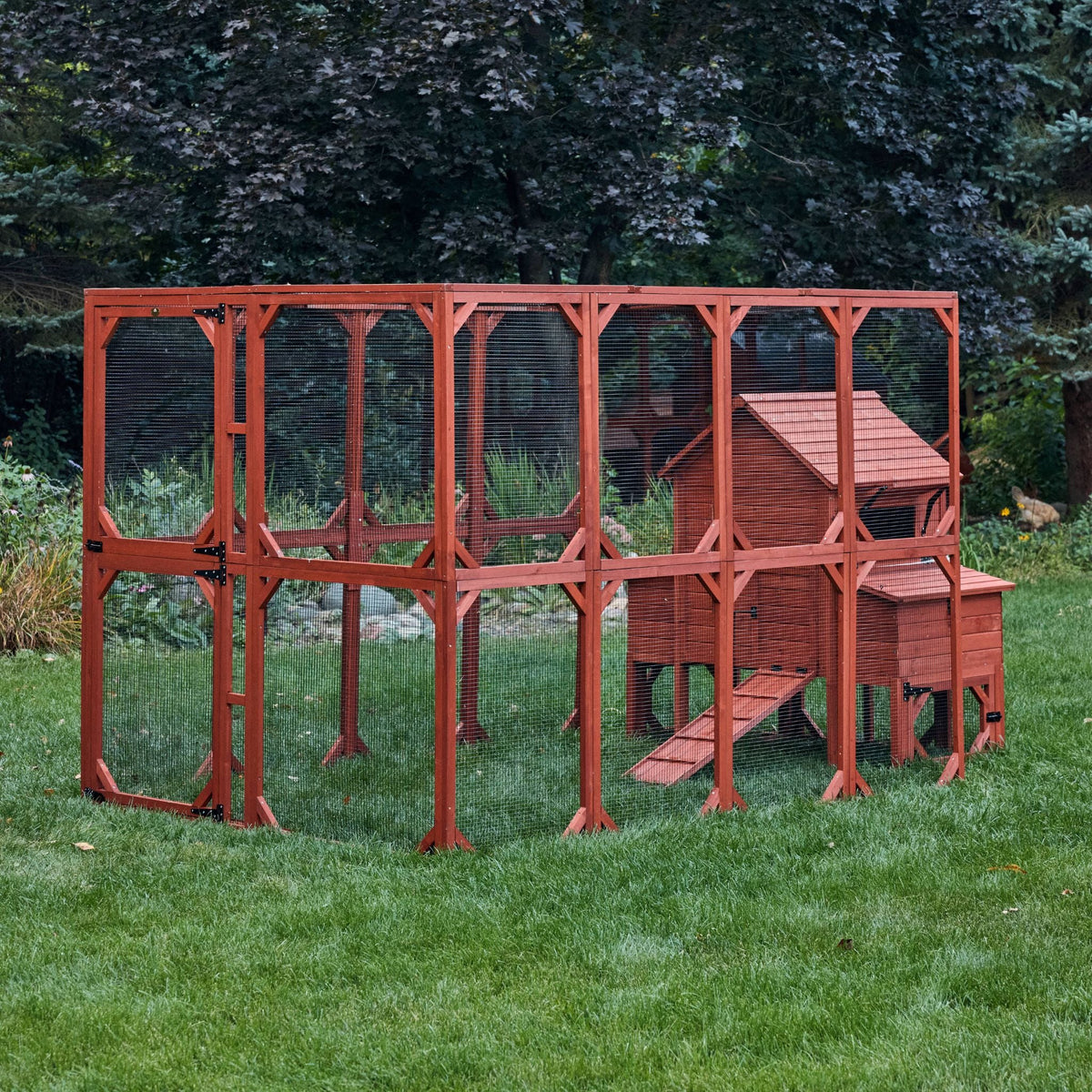 Orpington Lodge Chicken Coop + Optional Run (4-6 chickens)