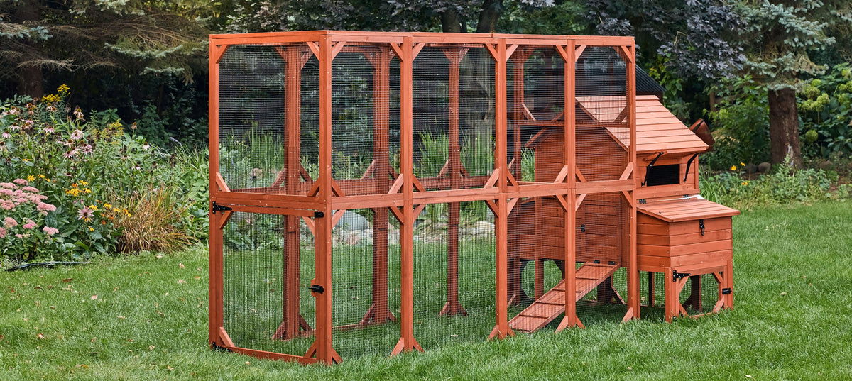 Orpington Lodge Chicken Coop + Optional Run (4-6 chickens)