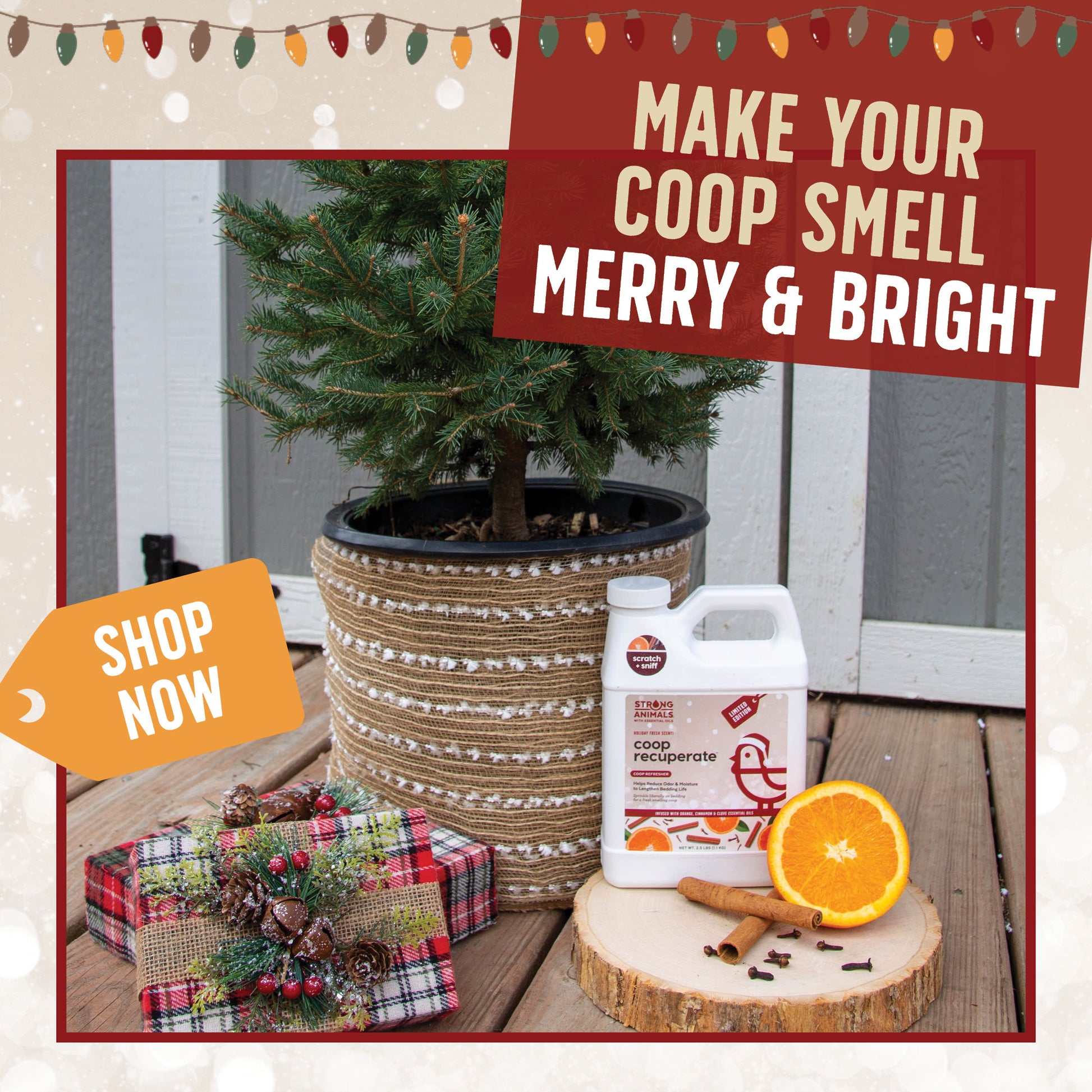 The Holiday Coop Recuperate has an orange, cinnamon, and clove smell that will brighten your coop. 