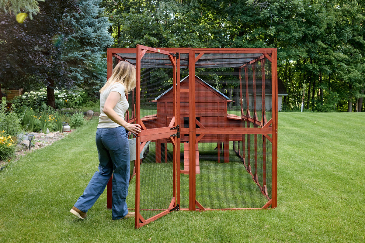 Brahma Chicken Coop + Optional Run (15-18 chickens)