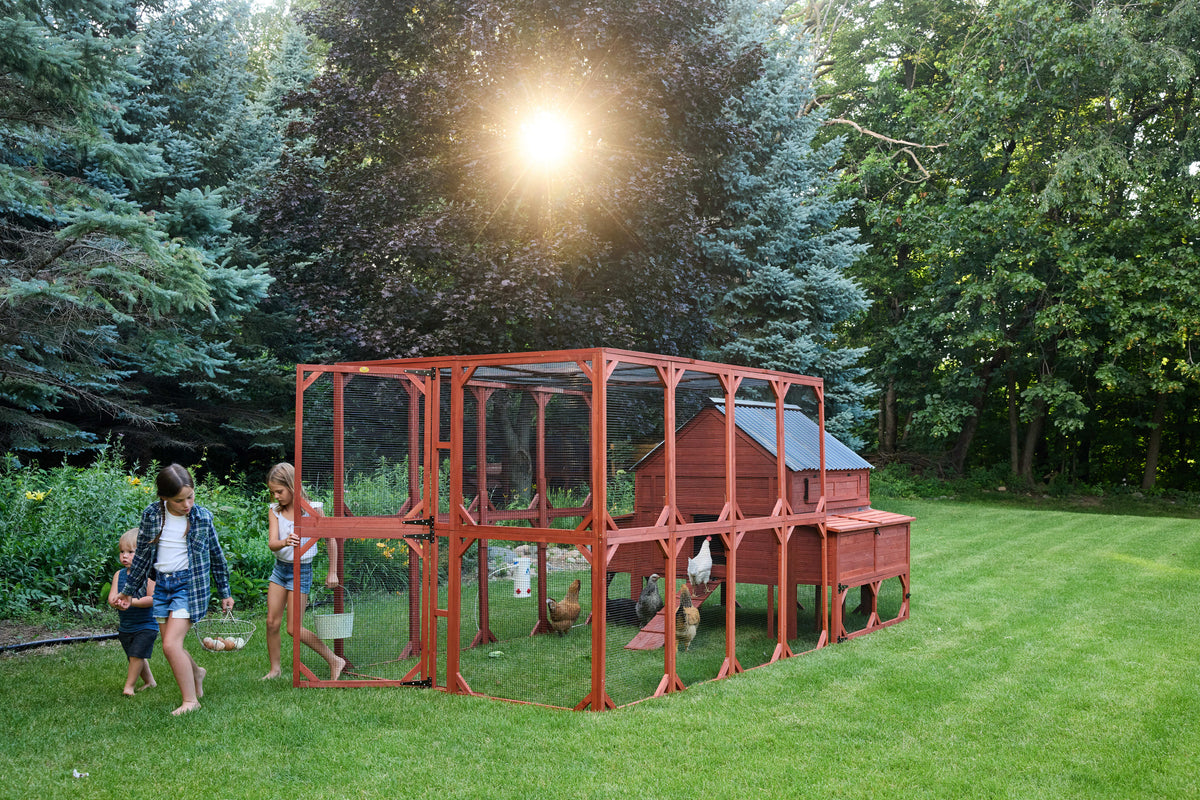 Brahma Chicken Coop + Optional Run (15-18 chickens)