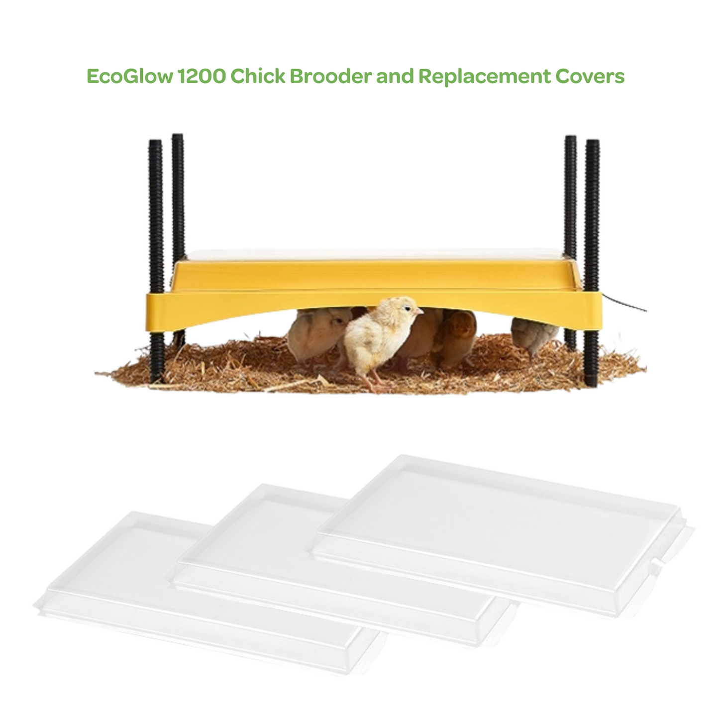 EcoGlow 1200 Chick Brooder and Replacement Covers