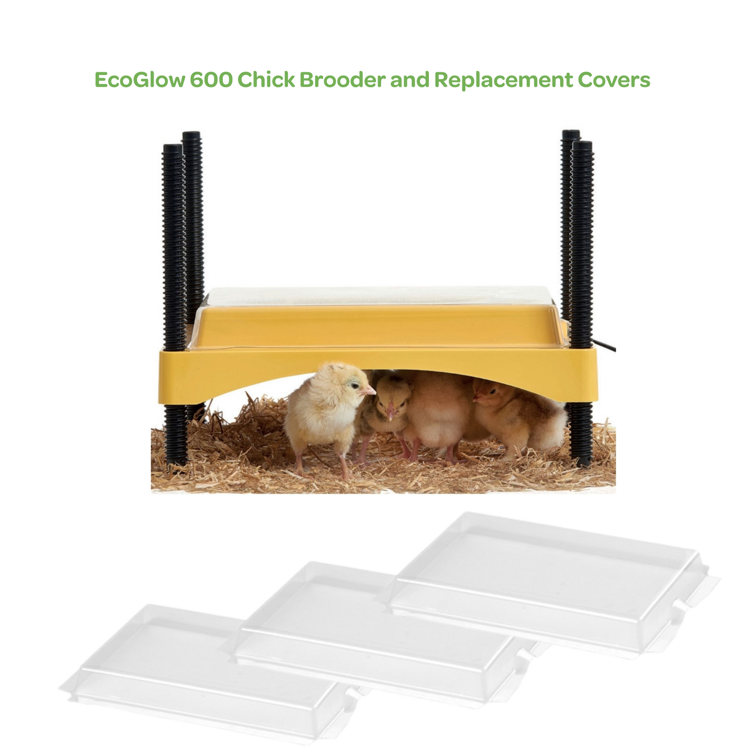 EcoGlow 600 Chick Brooder and Replacement Covers