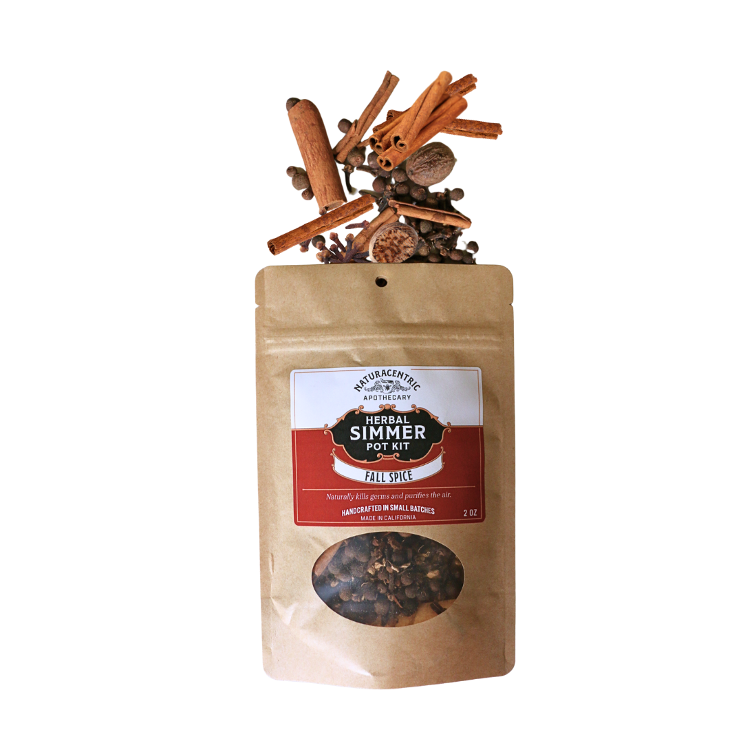 Fall Spice Simmer Pot Kit with cinnamon, cloves and spices
