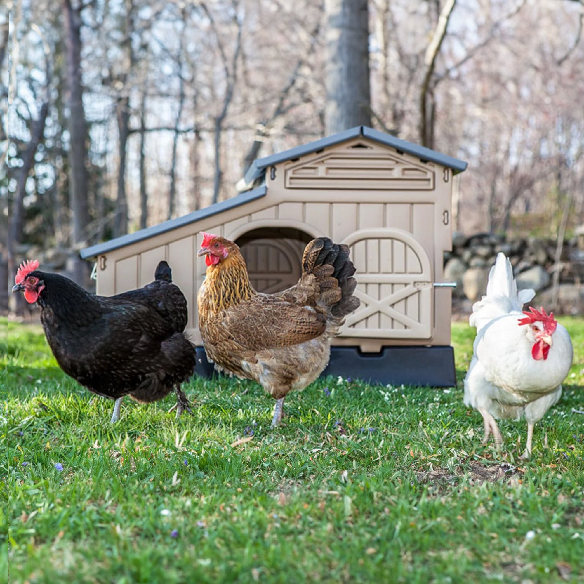 Snap Lock Formex Chicken Coop, Standard Tan (Up to 4 Chickens