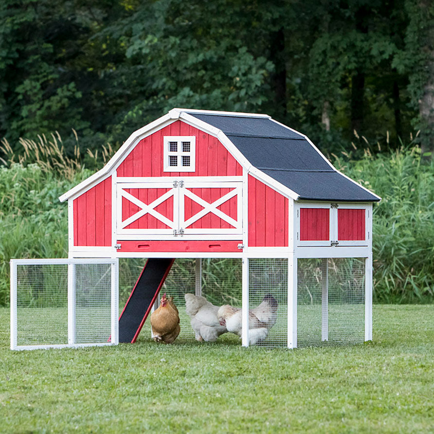 The Gambrel Roof XL" Chicken Coop (9-12 chickens)