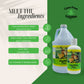 Carefree Enzymes Healthy Pen (Parasite & Odor Control)