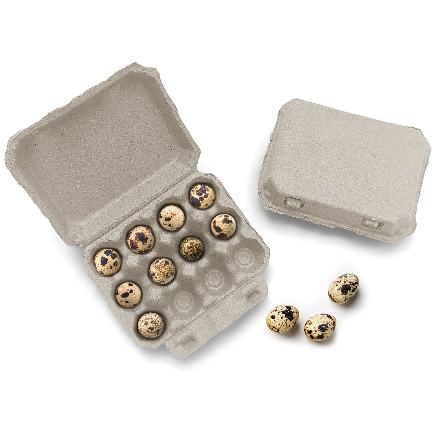 These Henlay Quail Egg Cartons hold one dozen quail eggs.