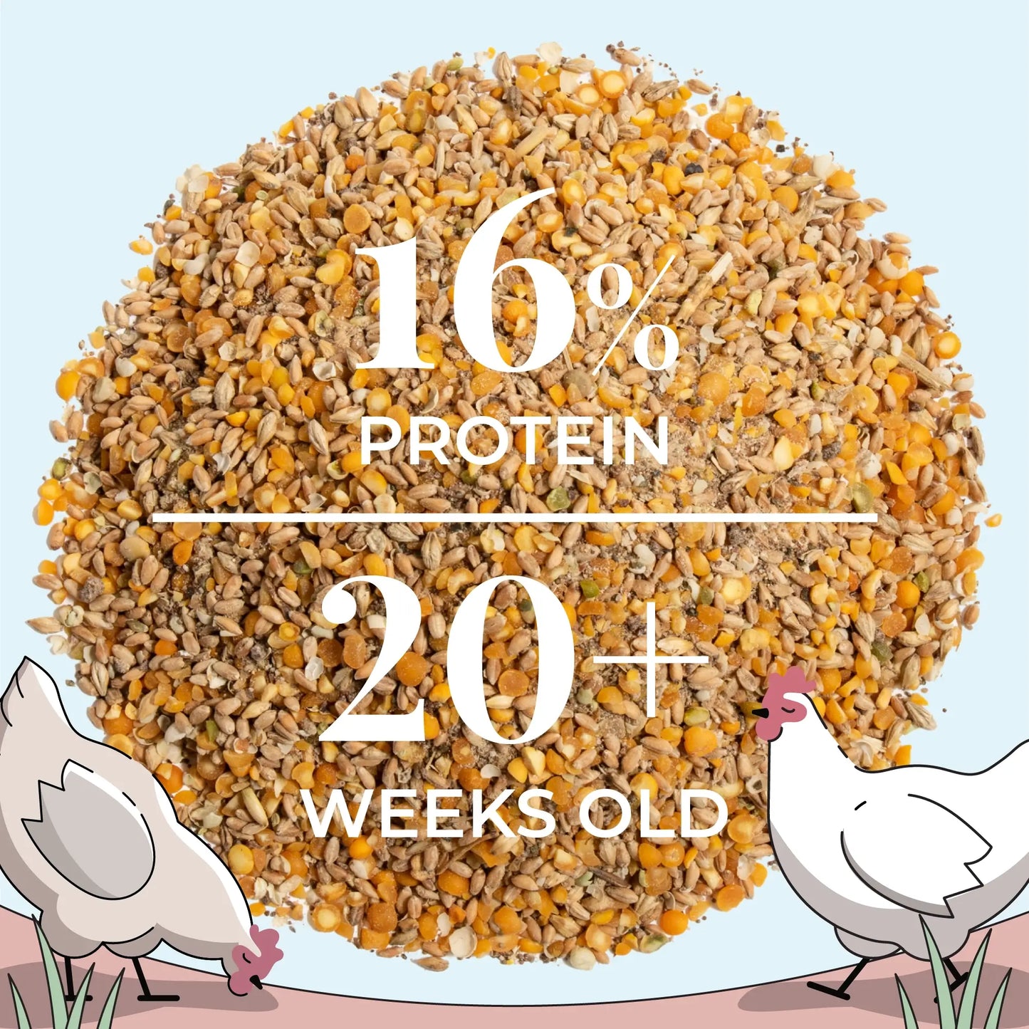 Mile Four Big Flock Bundle | 2 Months of Organic Feed, Grit & Oyster Shell for 20 Layer Hens