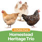 Pullet: Homestead Heritage Trio (3 Started Pullets), Shipping Week of