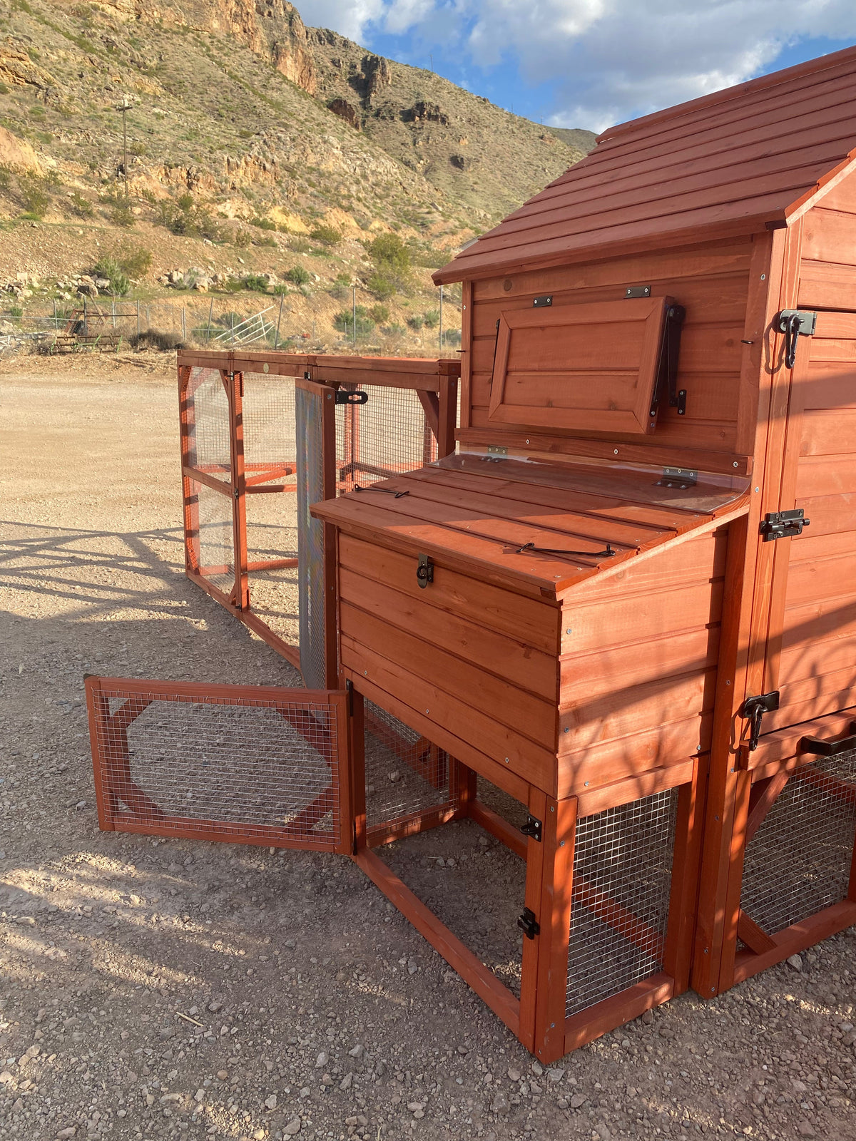 Orpington Lodge Chicken Coop + Optional Run (4-6 chickens)