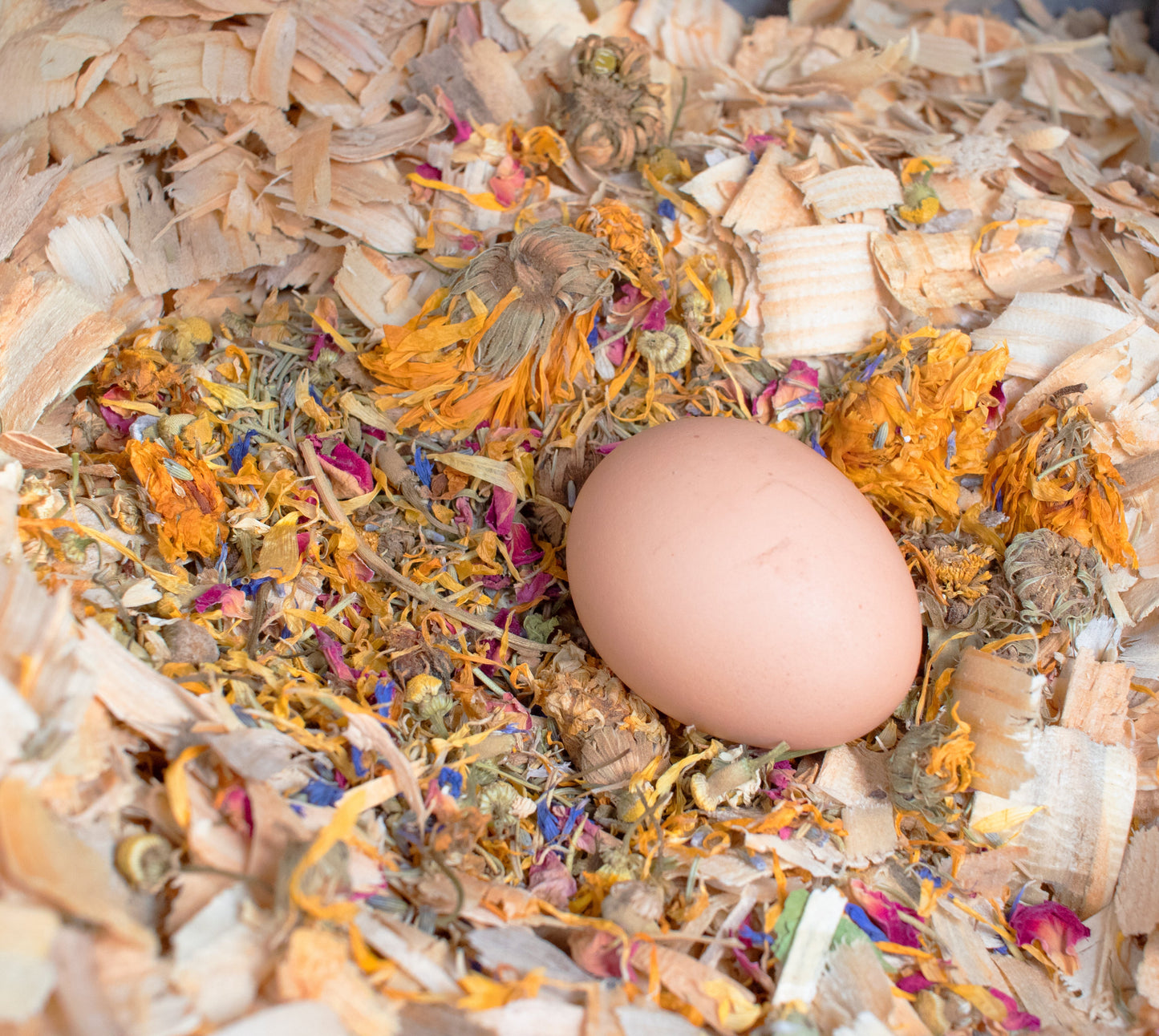 Best Eggs Ever! (TM) Nesting Herbs (Chamomile, Roses, Lavender, Cornflowers, & Calendula) For Pet Chickens
