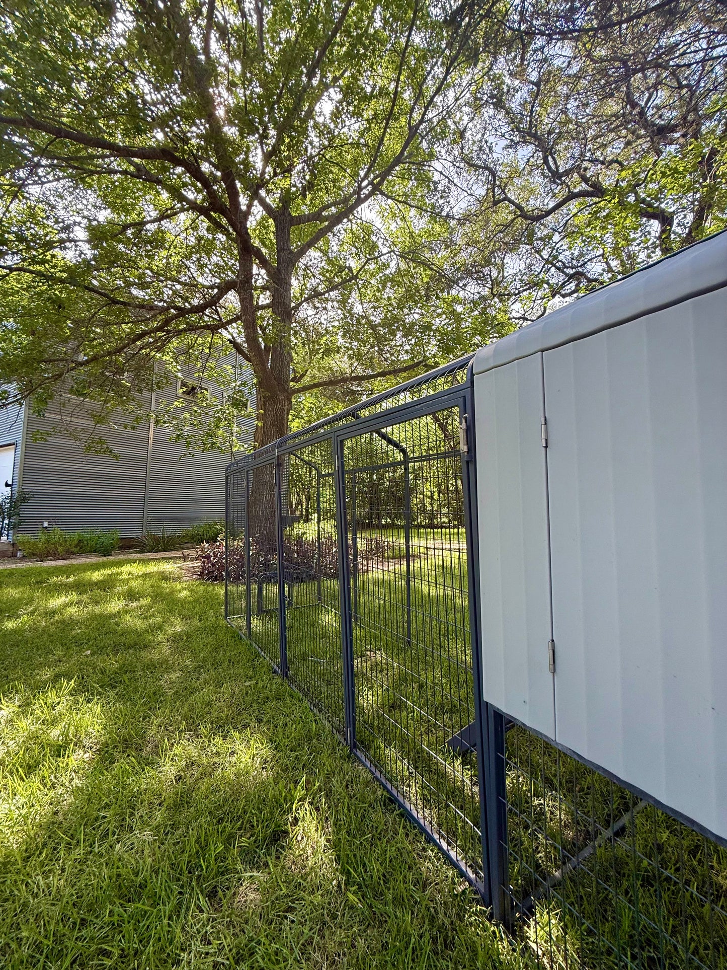 Extended Range Run Add-On for The Smart Coop