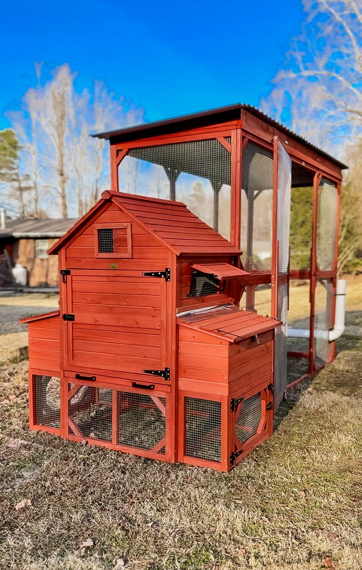 Orpington Lodge Chicken Coop + Optional Run (4-6 chickens)