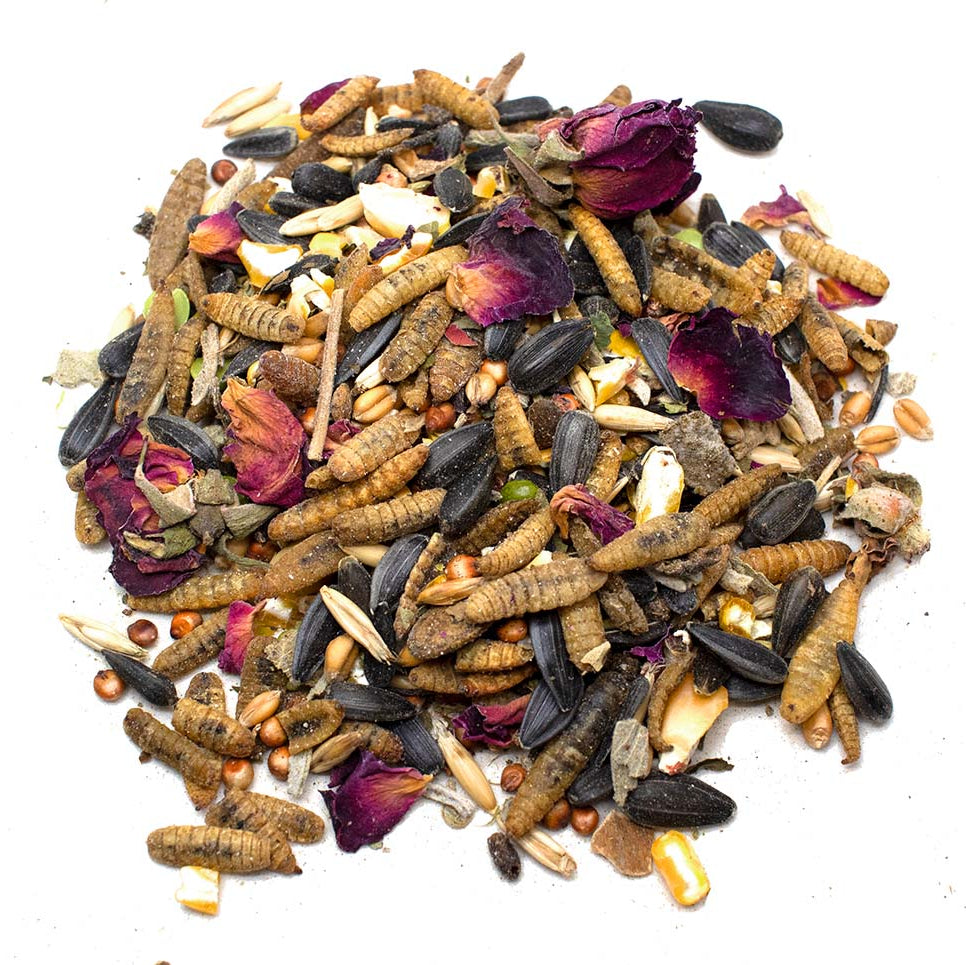 Sunflower Power Textured Treat With Sunflower Seeds, BloomGrubs, Rose, Sage, Corn