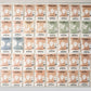 Emergency Seed Bank - Large - Organic Heirloom
