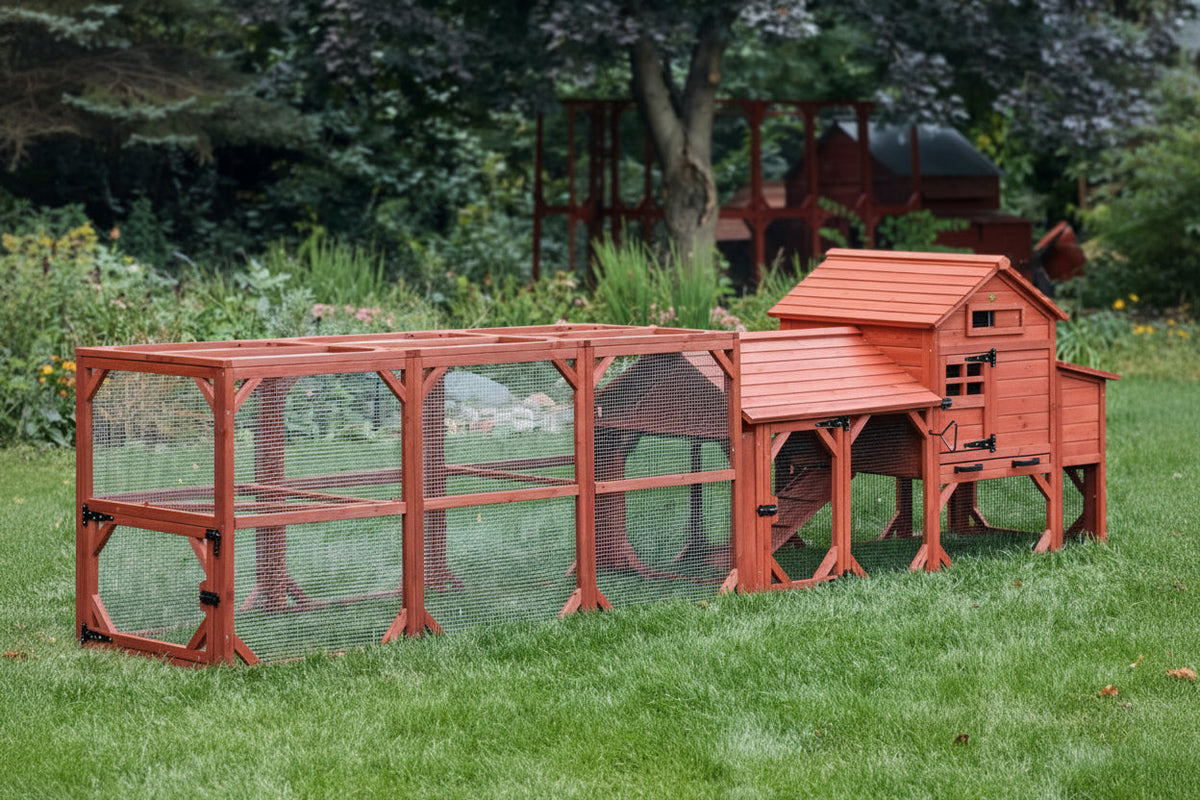Leghorn Cottage Chicken Coop + Run (3-4 chickens)