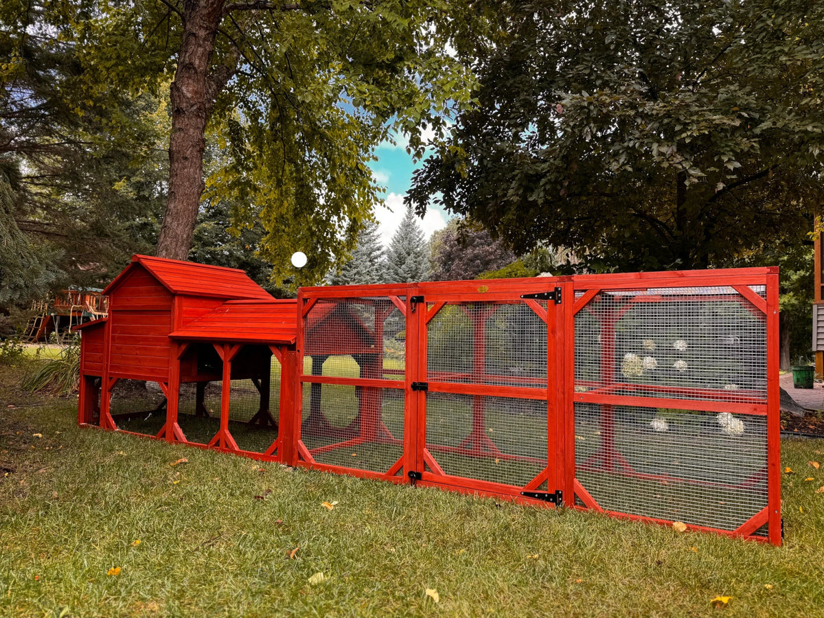 Leghorn Cottage Chicken Coop + Run (3-4 chickens)
