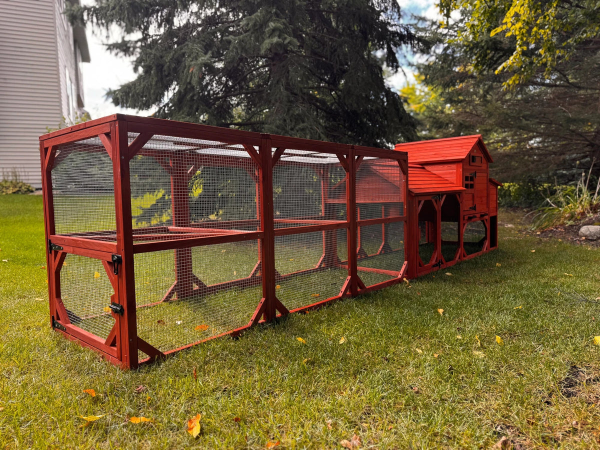 Leghorn Cottage Chicken Coop + Run (3-4 chickens)