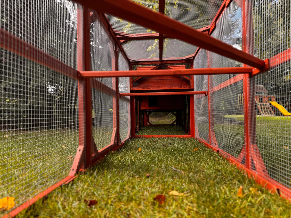 Leghorn Cottage Chicken Coop + Run (3-4 chickens)