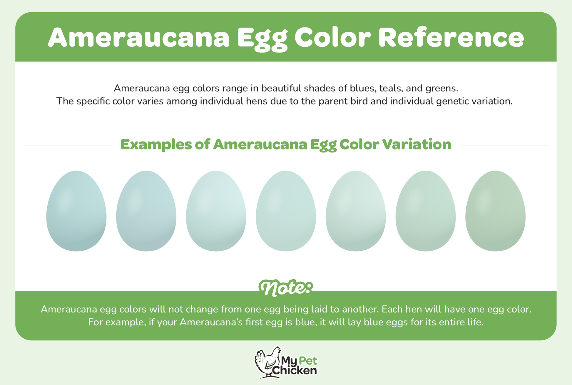 Ameraucana Egg Color Chart